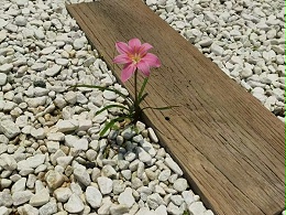 高性能装饰幕墙版——建筑美学革命的超级神器，错过即憾事千年